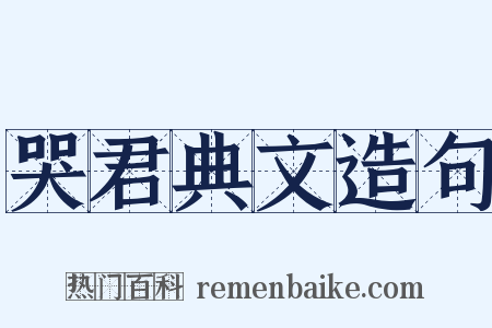 哭君典文造句是什么意思的图片